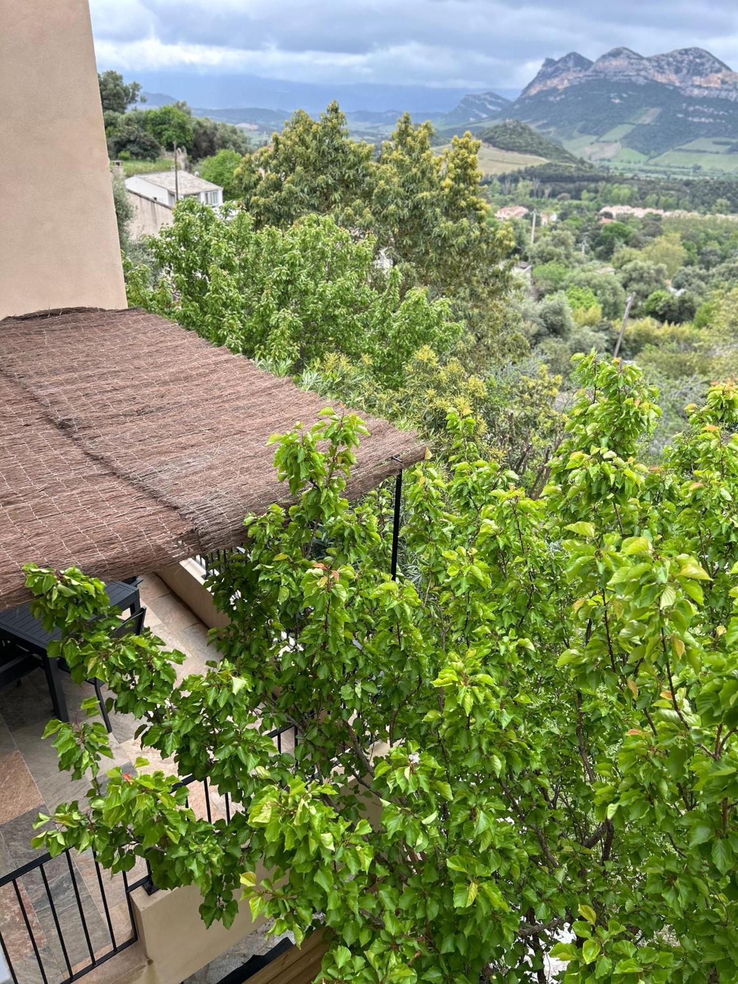 Vila Casa San Matteu Patrimonio Exteriér fotografie
